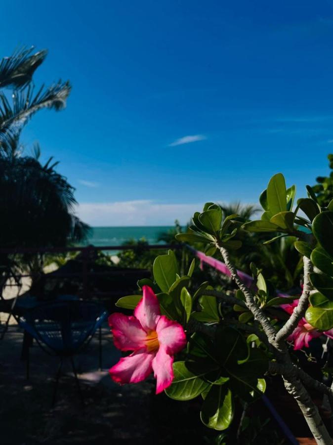 Hotel Gutierrez セレストゥン エクステリア 写真